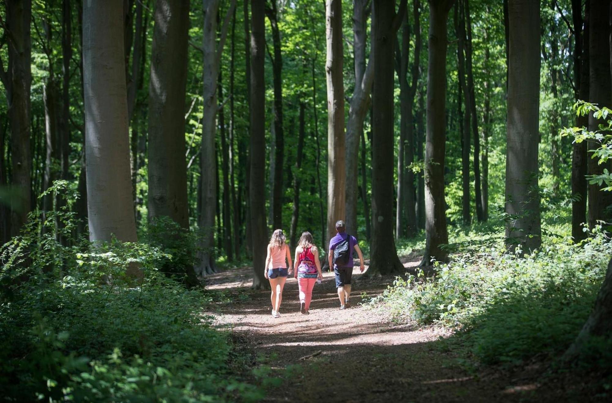 Chalet 2Relax Zutendaal Bagian luar foto